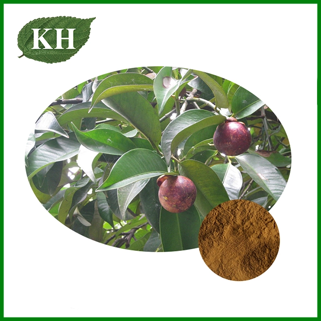 Mangosteen Extract Powder